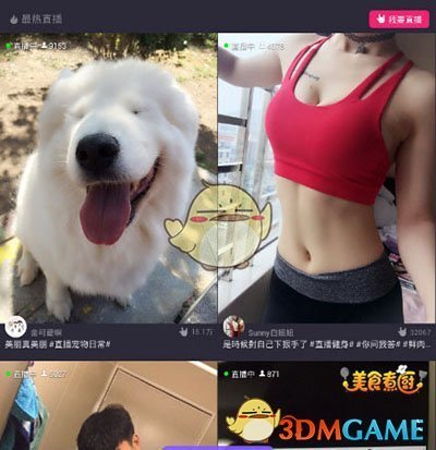 张碧晨演唱会之重生文学